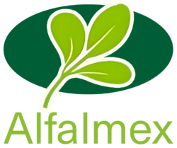 alfalmex.com